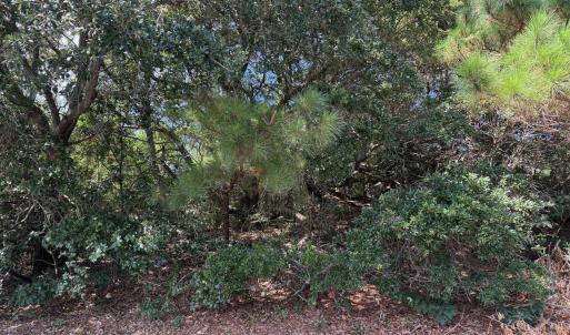 Photo #6 of 131 Brandon Court, Duck, NC 0.4 acres
