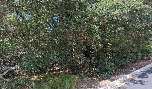 Photo #8 of 131 Brandon Court, Duck, NC 0.4 acres