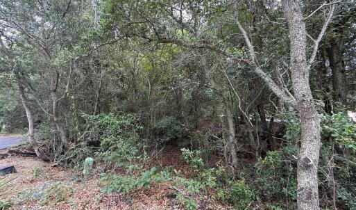 Photo #11 of 131 Brandon Court, Duck, NC 0.4 acres