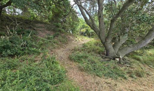 Photo #19 of 31 North Dune Loop, Southern Shores, NC 0.4 acres