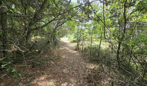 Photo #22 of 31 North Dune Loop, Southern Shores, NC 0.4 acres