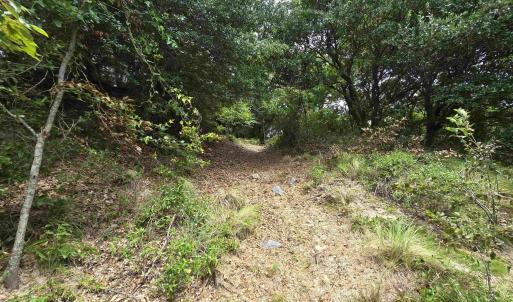Photo #20 of 31 North Dune Loop, Southern Shores, NC 0.4 acres