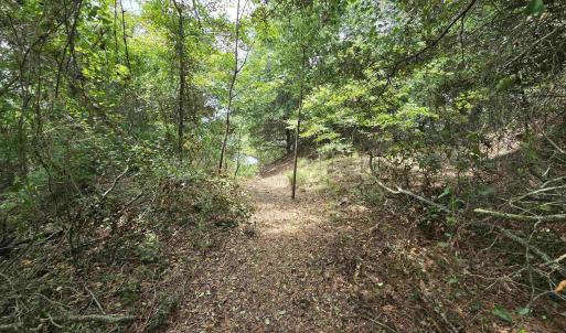 Photo #14 of 31 North Dune Loop, Southern Shores, NC 0.4 acres