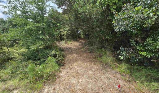 Photo #12 of 31 North Dune Loop, Southern Shores, NC 0.4 acres