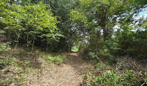 Photo #21 of 31 North Dune Loop, Southern Shores, NC 0.4 acres