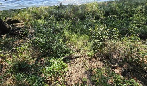Photo #3 of 31 North Dune Loop, Southern Shores, NC 0.4 acres