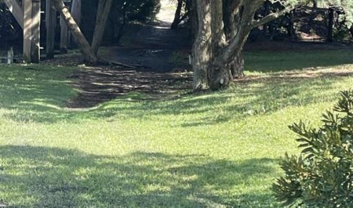 Photo #8 of 26197 Skip Jack Court, Salvo, NC 0.3 acres