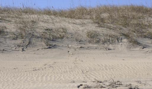 Photo #30 of 2301 Sandfiddler Road, Corolla, NC 0.8 acres