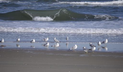 Photo #43 of 2301 Sandfiddler Road, Corolla, NC 0.8 acres
