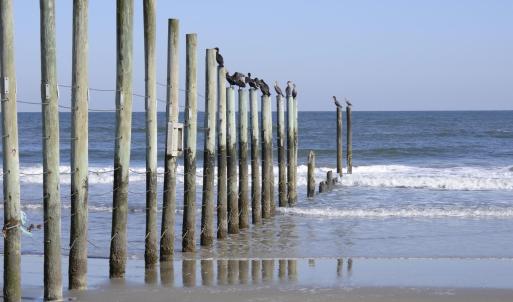 Photo #38 of 2301 Sandfiddler Road, Corolla, NC 0.8 acres