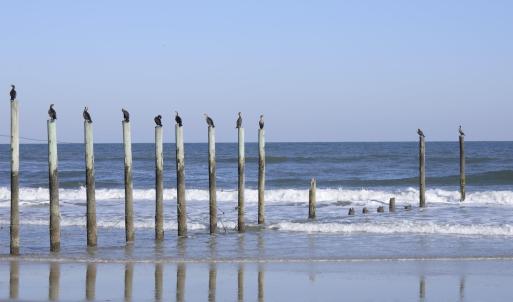 Photo #37 of 2301 Sandfiddler Road, Corolla, NC 0.8 acres