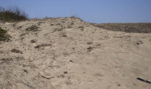 Photo #20 of 2301 Sandfiddler Road, Corolla, NC 0.8 acres