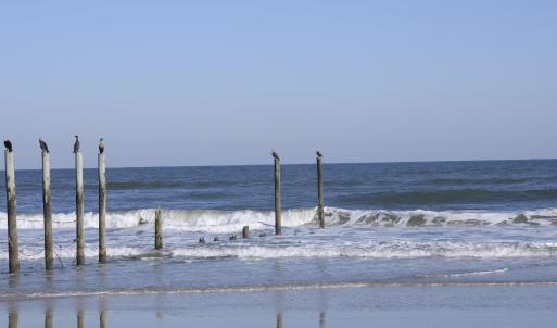Photo #36 of 2301 Sandfiddler Road, Corolla, NC 0.8 acres