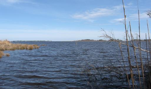 Photo #4 of 4161 Caratoke Highway, Barco, NC 92.4 acres