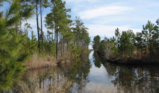 Photo #8 of 4161 Caratoke Highway, Barco, NC 92.4 acres