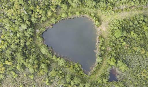 Photo #20 of 4161 Caratoke Highway, Barco, NC 92.4 acres