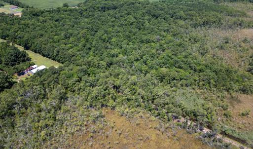 Photo #6 of Jarvisburg Road, Jarvisburg, NC 42.0 acres