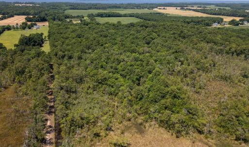 Photo #5 of Jarvisburg Road, Jarvisburg, NC 42.0 acres