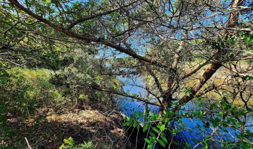 Photo #11 of 42195 Shallow Point Drive, Avon, NC 0.5 acres