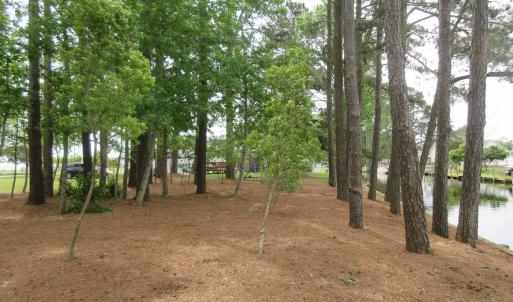 Photo #8 of 105 Mallard Court, Grandy, NC 0.5 acres