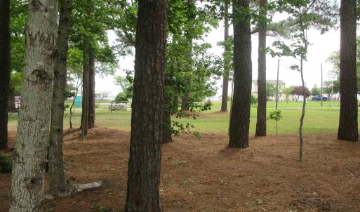 Photo #20 of 105 Mallard Court, Grandy, NC 0.5 acres