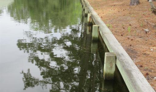 Photo #3 of 105 Mallard Court, Grandy, NC 0.5 acres