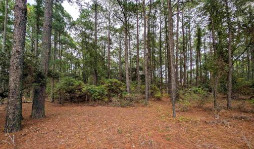 Photo #10 of 2343 Ocean Pearl Road, Corolla, NC 0.3 acres