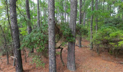 Photo #11 of 2343 Ocean Pearl Road, Corolla, NC 0.3 acres