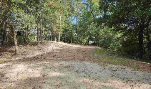 Looking from the street