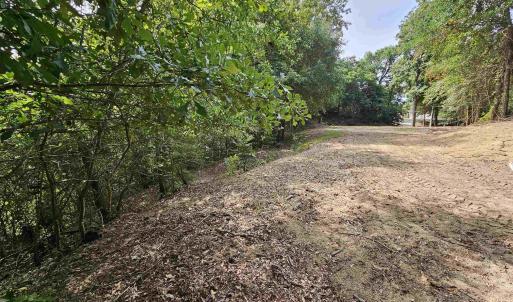 Looking from back of lot to the street