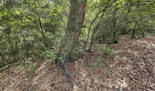 Photo #4 of 123 Sunrise Lane, Kill Devil Hills, NC