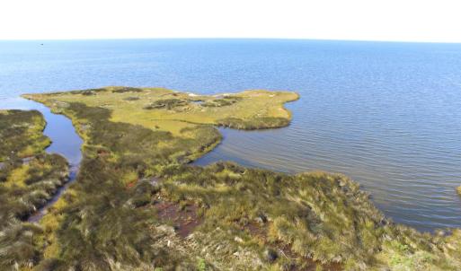 Photo #11 of 26182 Otter Way, Salvo, NC 0.5 acres