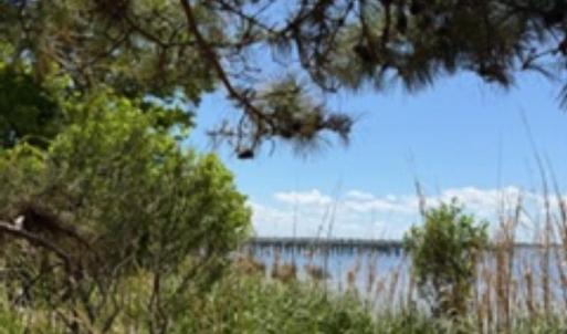 Photo #15 of Bay Drive, Kill Devil Hills, NC 0.2 acres