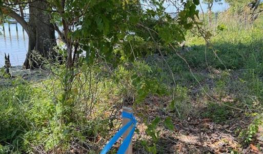 Photo #4 of Bay Drive, Kill Devil Hills, NC 0.2 acres
