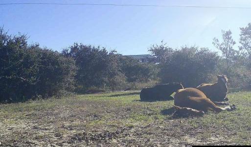 Photo #5 of 2126 Sandpiper Road, Corolla, NC 0.4 acres