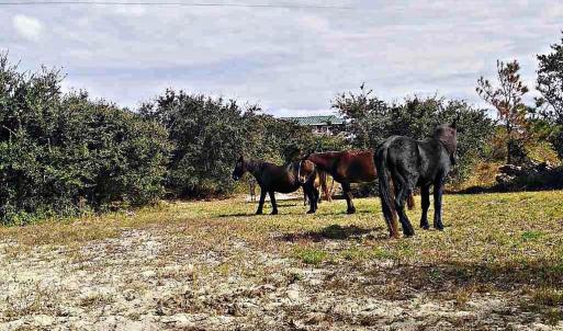Photo #4 of 2126 Sandpiper Road, Corolla, NC 0.4 acres