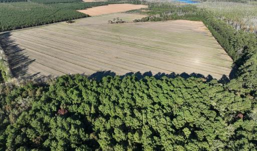 Photo #19 of Old NC 64, Columbia, NC