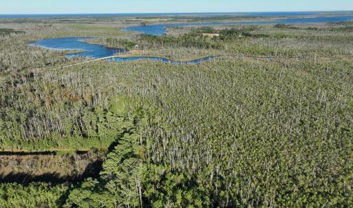 Photo #10 of Old NC 64, Columbia, NC