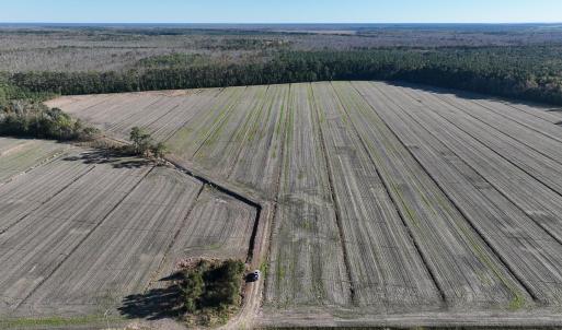 Photo #3 of Old NC 64, Columbia, NC