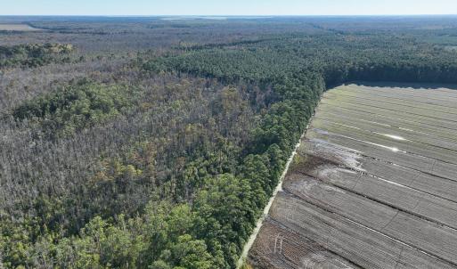 Photo #12 of Old NC 64, Columbia, NC