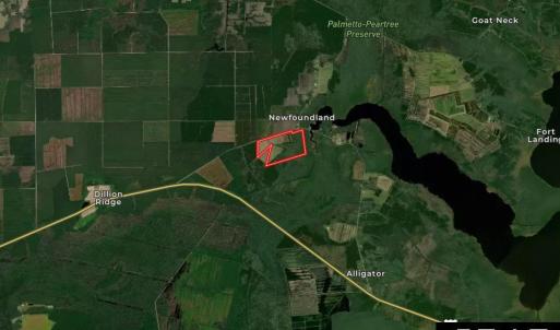 Photo #21 of Old NC 64, Columbia, NC