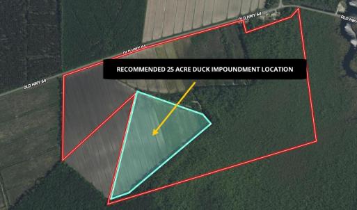 Photo #23 of Old NC 64, Columbia, NC