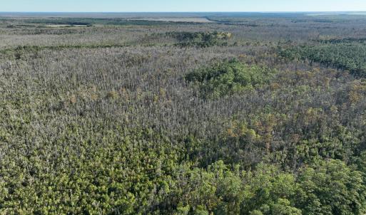 Photo #12 of Old NC 64, Columbia, NC