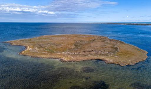 Photo #12 of Island, Avon, NC