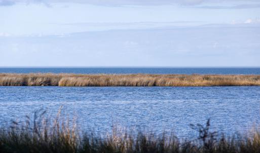 Photo #20 of Island, Avon, NC