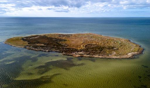 Photo #5 of Island, Avon, NC