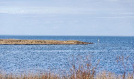 Photo #19 of Island, Avon, NC