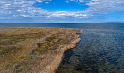 Photo #16 of Island, Avon, NC