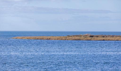 Photo #21 of Island, Avon, NC