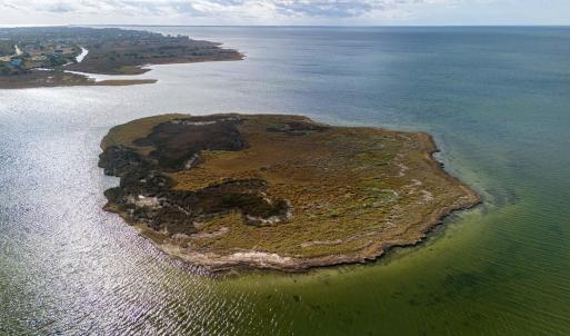 Photo #6 of Island, Avon, NC